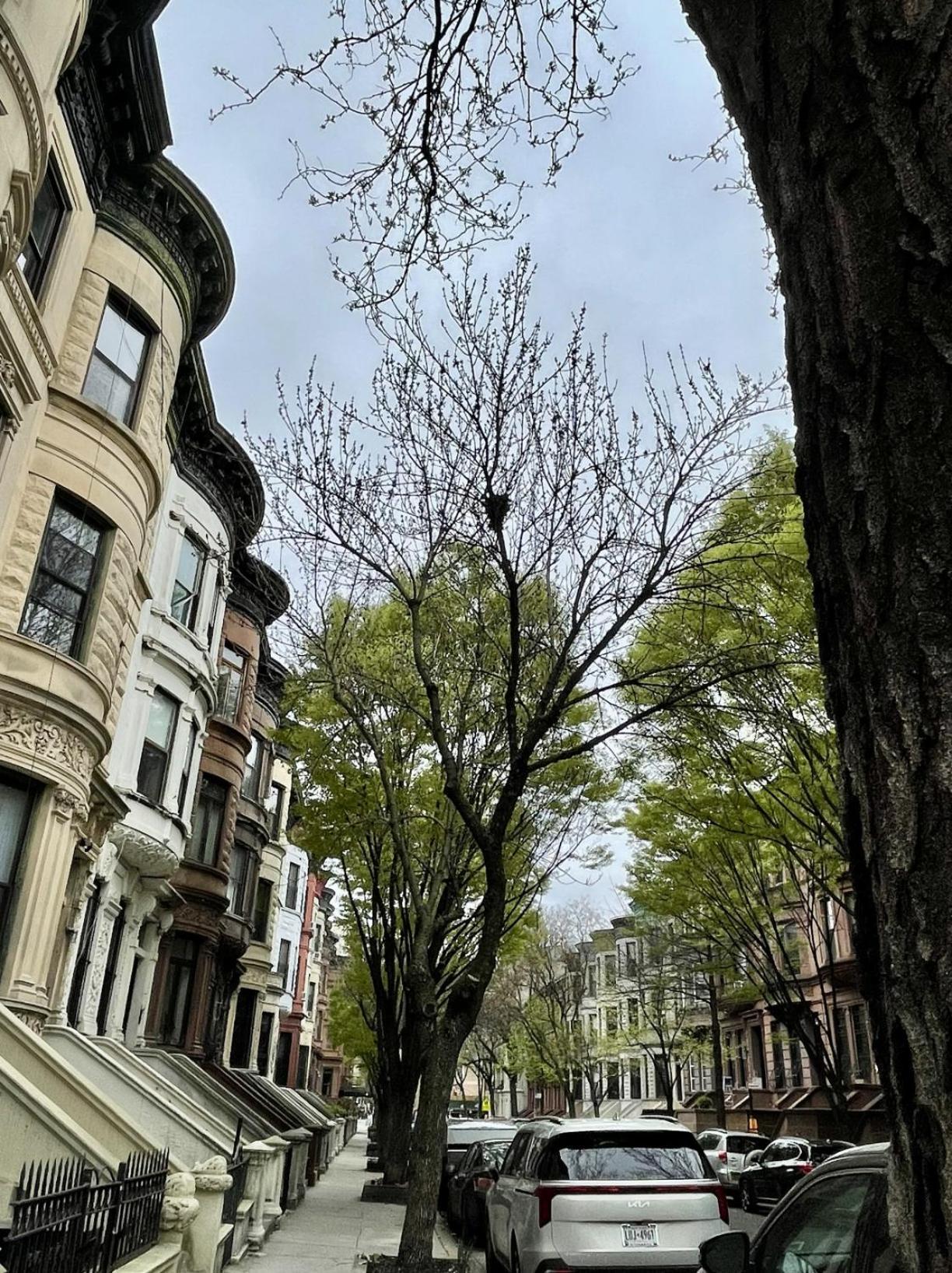 Nyc Townhouse Apartment Нью-Йорк Екстер'єр фото